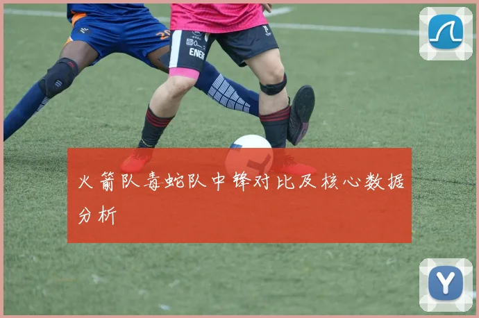 火箭队毒蛇队中锋对比及核心数据分析