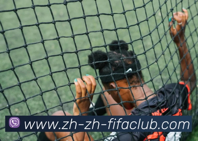 App Interface Preview